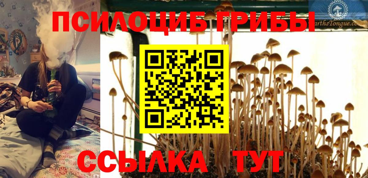 Галлюциногенные грибы прущие грибы Коммунар